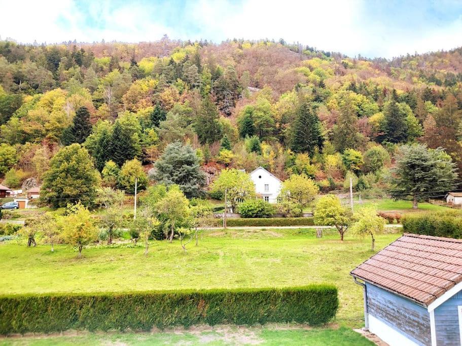 Le Vivaldi, Au Coeur Du Massif Vosgien Avec Terrain De Petanque Villa Rochesson Exteriör bild