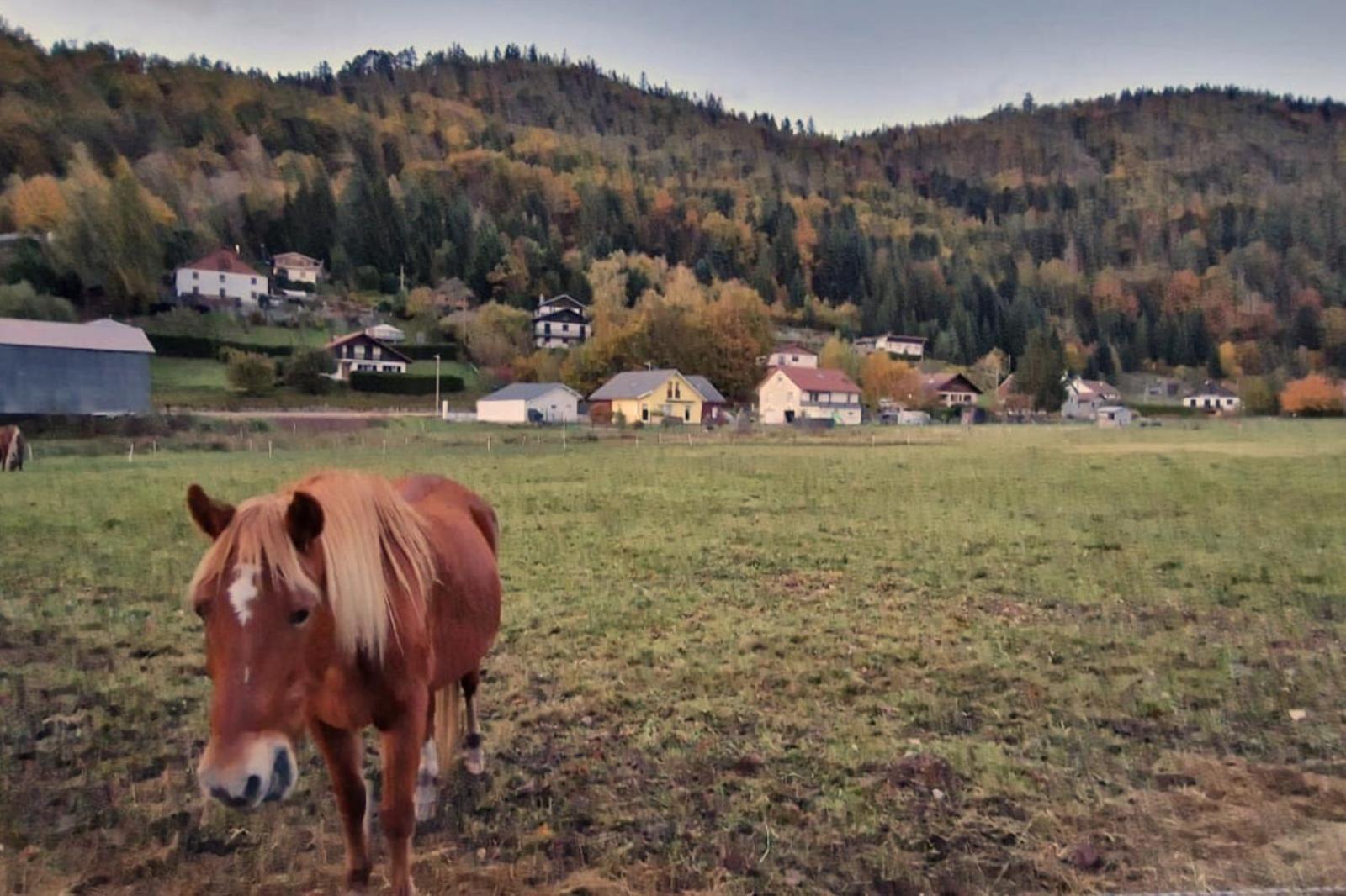 Le Vivaldi, Au Coeur Du Massif Vosgien Avec Terrain De Petanque Villa Rochesson Exteriör bild