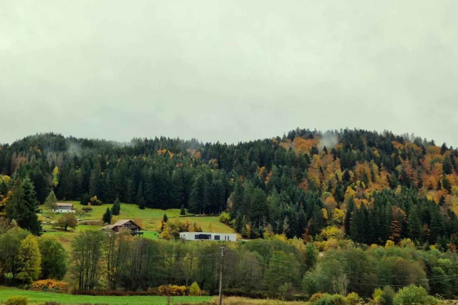 Le Vivaldi, Au Coeur Du Massif Vosgien Avec Terrain De Petanque Villa Rochesson Exteriör bild